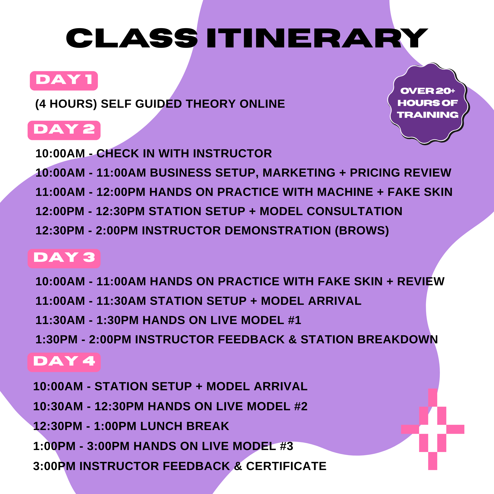 4-Day Cosmetic Tattoo Masterclass