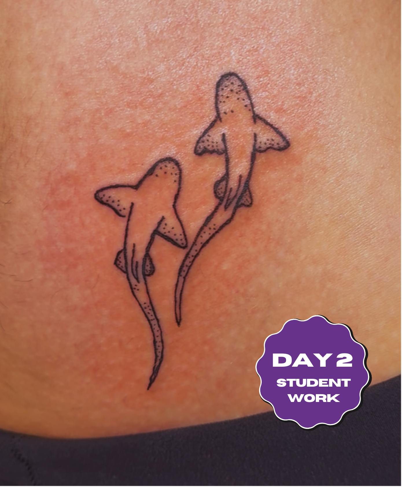 Fine Line Tattoo Training