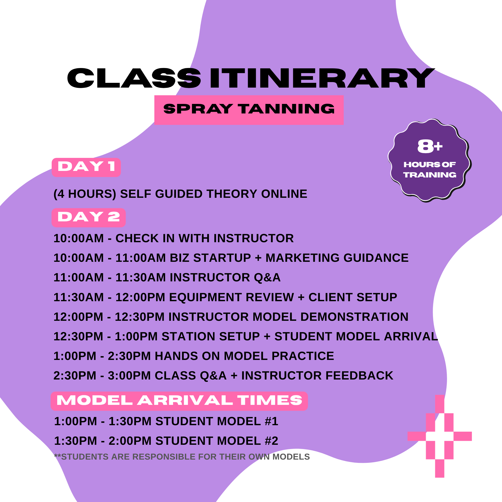 Spray Tanning Masterclass Plush Beauty Academy
