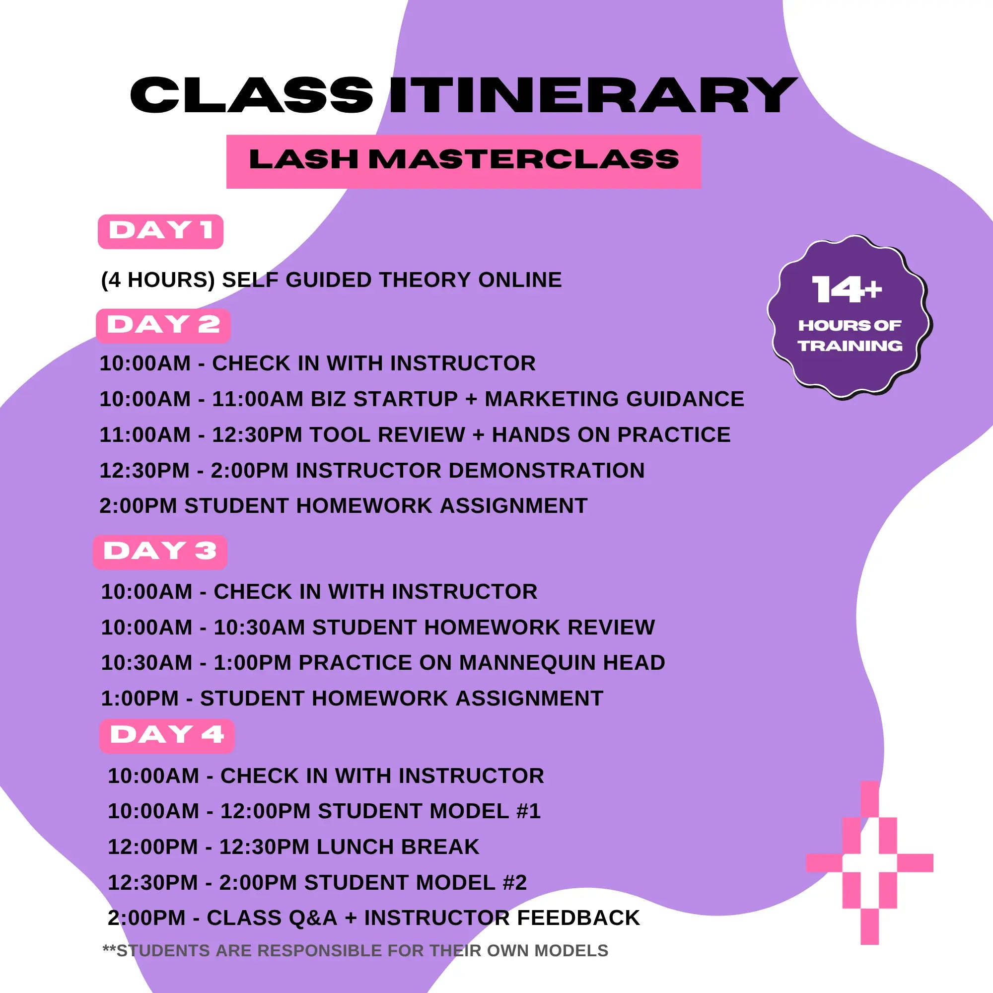 Lash Extensions Masterclass Plush Beauty Academy