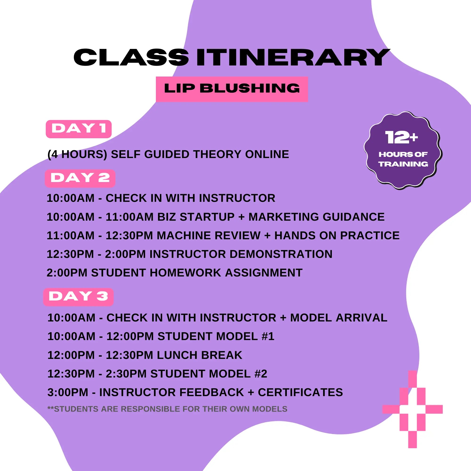 Lip Blushing Hands On Training Plush Beauty Academy